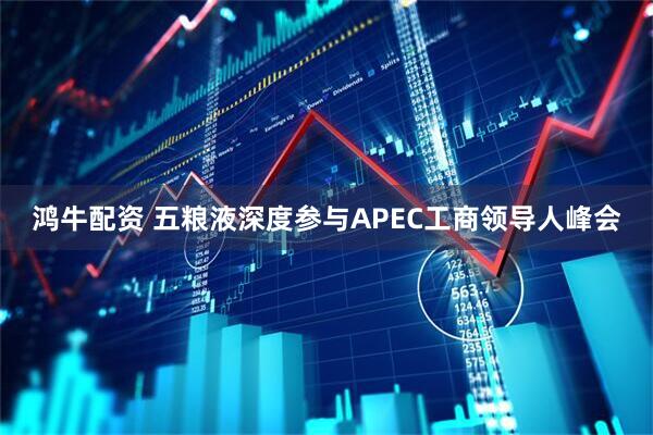 鸿牛配资 五粮液深度参与APEC工商领导人峰会