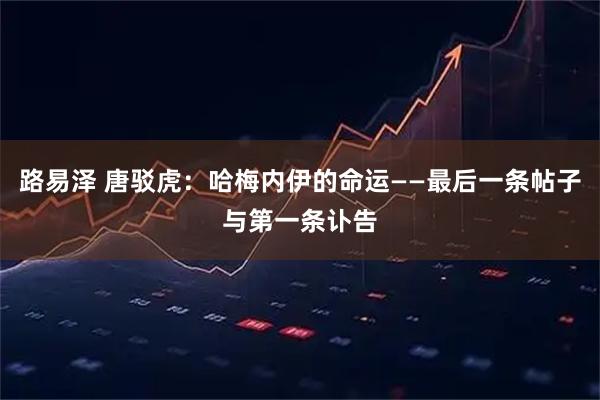 路易泽 唐驳虎：哈梅内伊的命运——最后一条帖子与第一条讣告