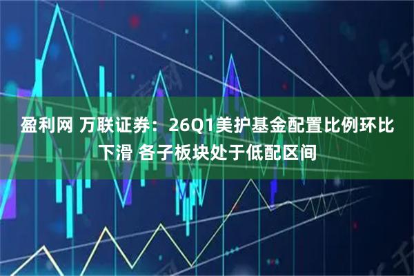 盈利网 万联证券：26Q1美护基金配置比例环比下滑 各子板块处于低配区间