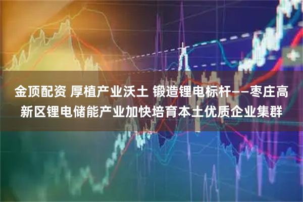 金顶配资 厚植产业沃土 锻造锂电标杆——枣庄高新区锂电储能产业加快培育本土优质企业集群